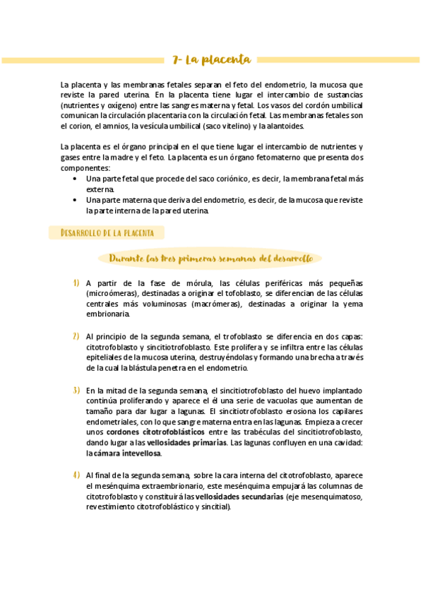 Miniatura del documento Apuntes-embriologia-Tema-7.pdf