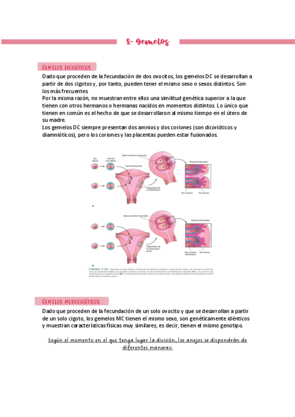 Miniatura del documento Apuntes-embriologia-Tema-8.pdf