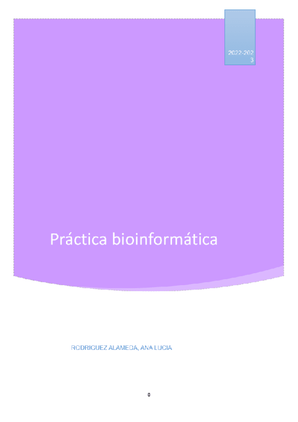 Miniatura del documento practica.docx.pdf