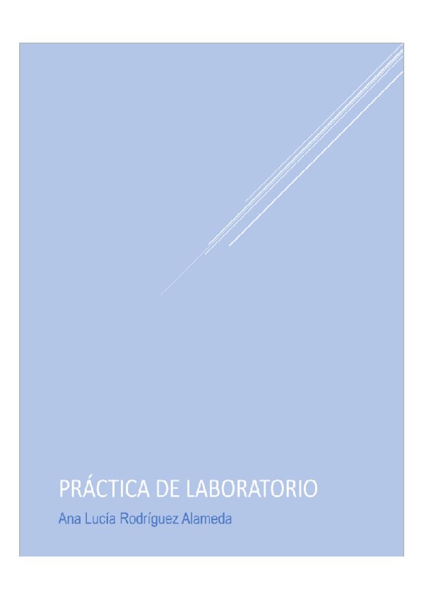 Miniatura del documento practicas-laboratorio.docx.pdf