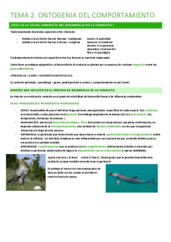 Miniatura del documento T2.-Ontogenia-del-comportamiento.pdf