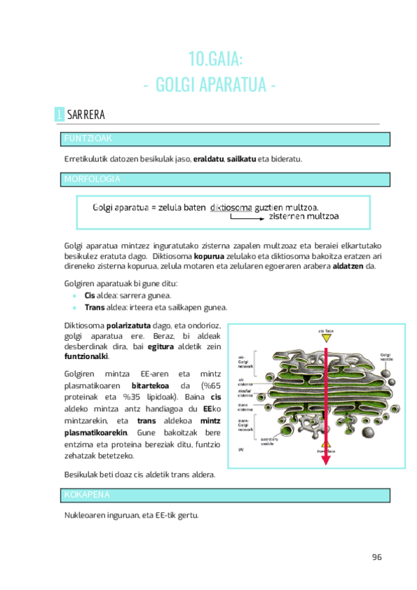 Miniatura del documento BIOZEL-10.gaia.pdf