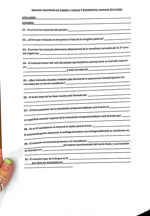 Miniatura del documento ANATOMIA CABEZA Y CUELLO.jpg