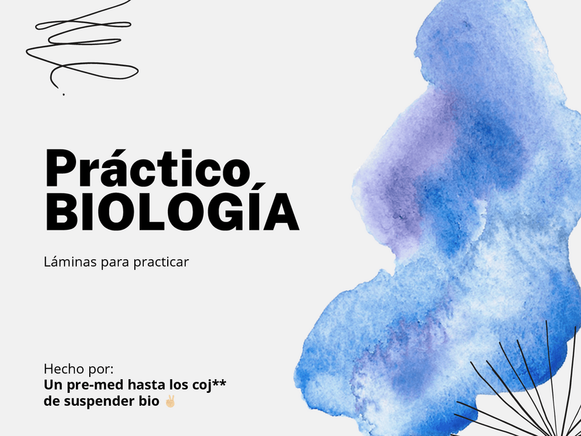 Miniatura del documento Practico-BIO-estudio.pdf