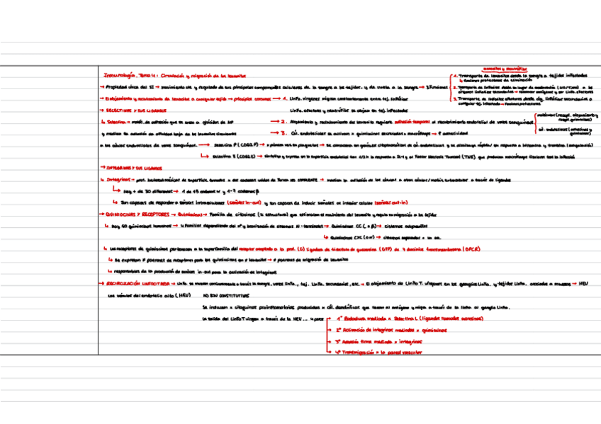 Miniatura del documento INMUNO-ESQUEMA-T4.pdf