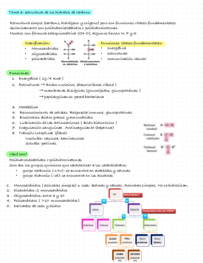 Miniatura del documento Bioquimica-Tema-3.-Estructura-De-Los-Hidratos-De-Carbono.pdf