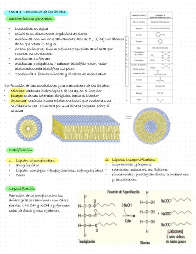 Miniatura del documento Bioquimica-Tema-4.-Estructura-De-Los-Lipidos.pdf