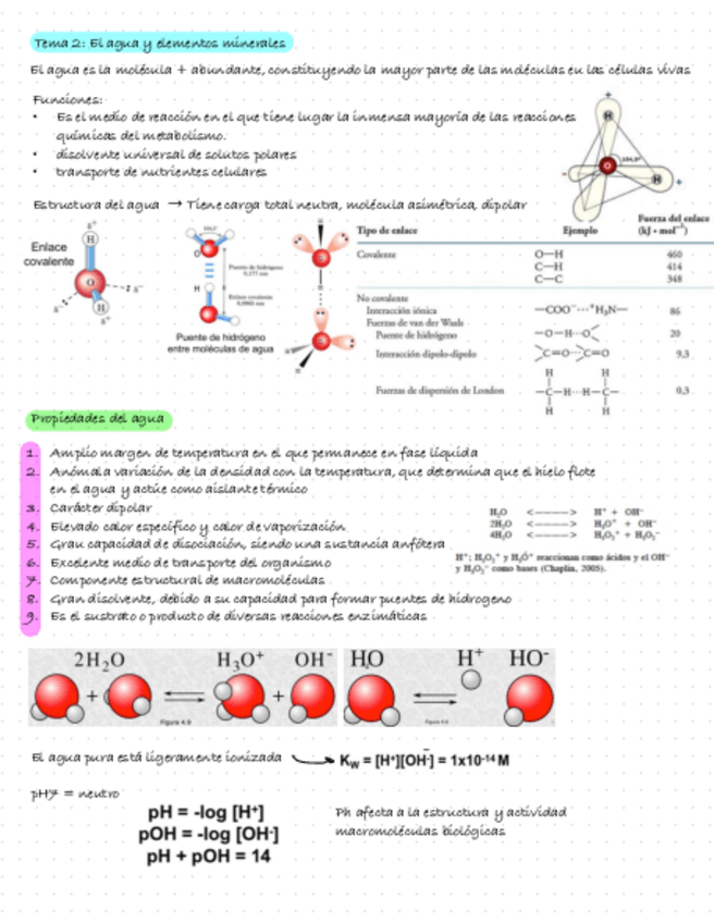 Miniatura del documento Bioquimica-Tema-2.-El-Agua-Y-Elementos-Minerales.pdf