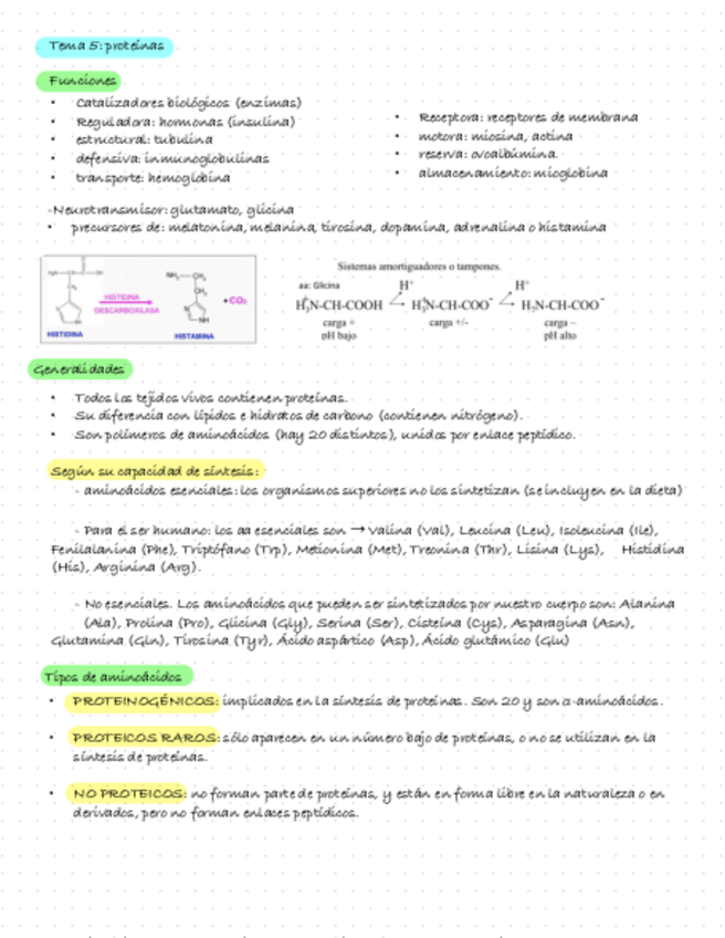 Miniatura del documento Bioquimica-Tema-5.-Estructura-De-Las-Proteinas.pdf