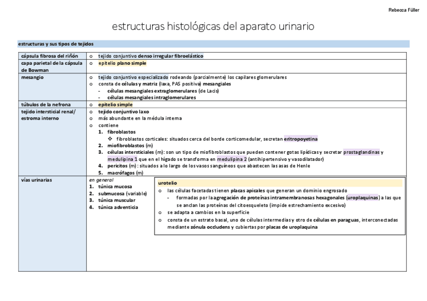 Miniatura del documento organografia-genitourinario-TABLAS.pdf