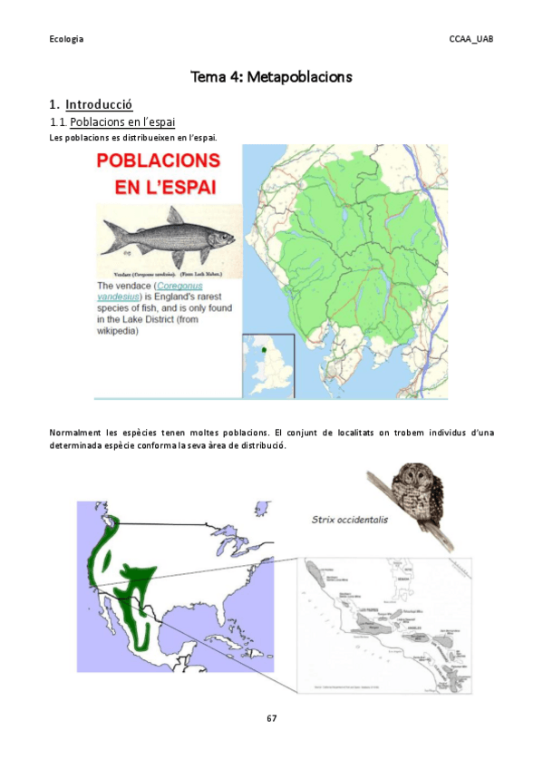 Miniatura del documento EcoApunts bloc 1 tema-4 + lectura.pdf