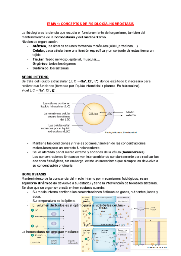 Miniatura del documento Fisiologia-1o.pdf