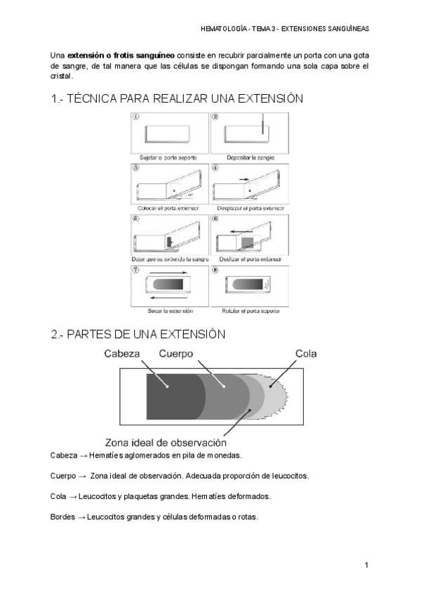 Miniatura del documento HEMATOLOGIA-TEMA-3-EXTENSIONES-SANGUINEAS.pdf