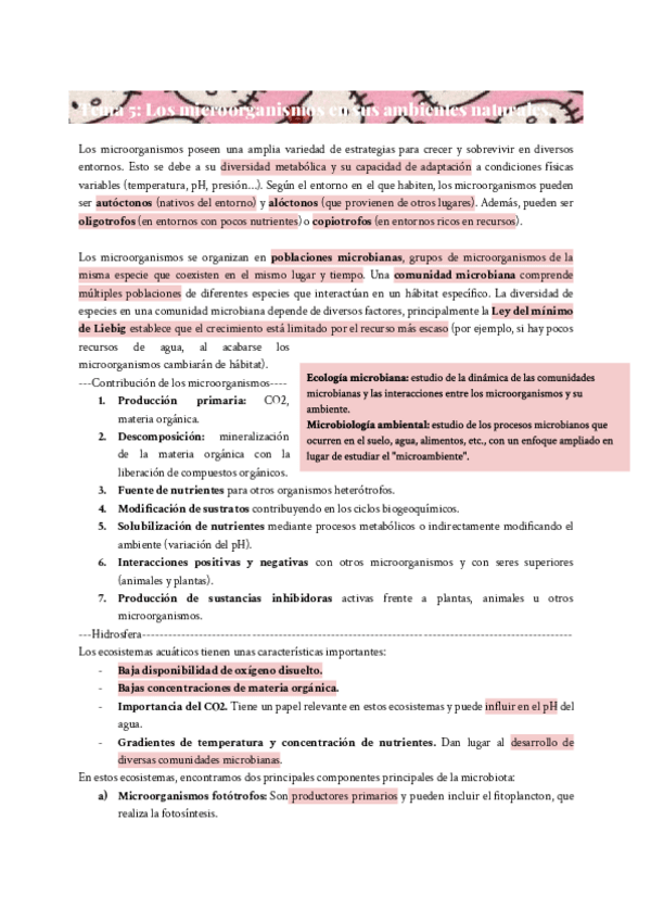 Miniatura del documento MICRO-TEMA-5-RESUMEN.pdf