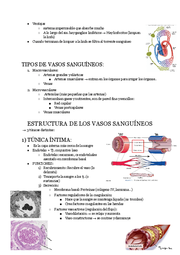 Miniatura del documento 1.cardiovascular.pdf