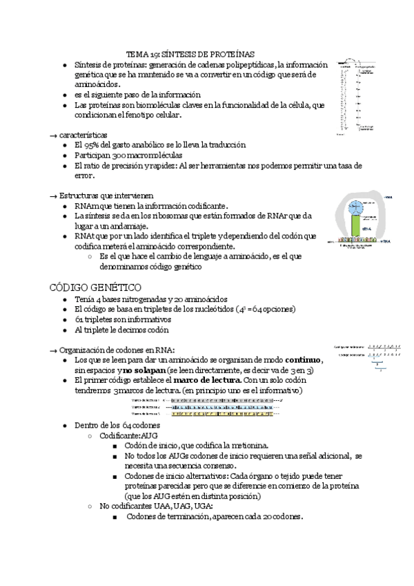 Miniatura del documento Tema-19.pdf