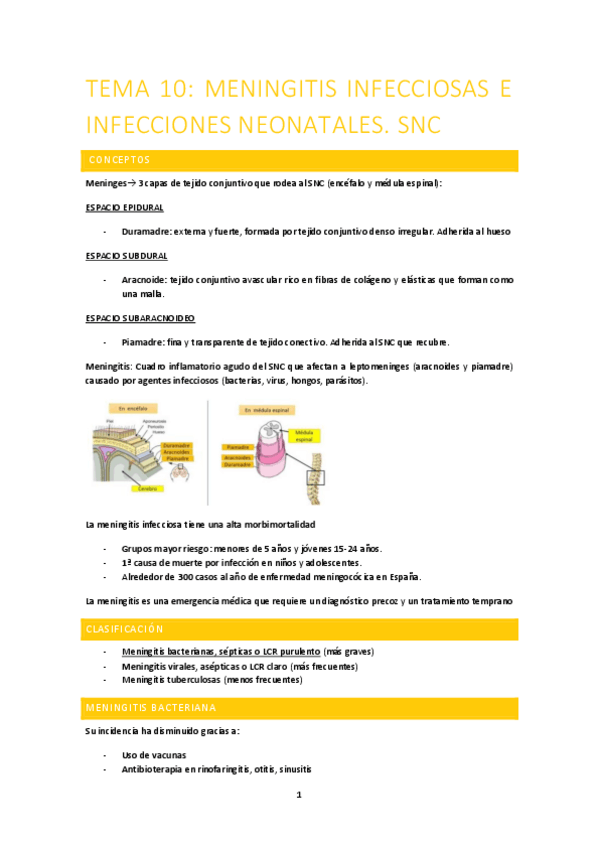 Miniatura del documento TEMA-10-INFANCIA.pdf