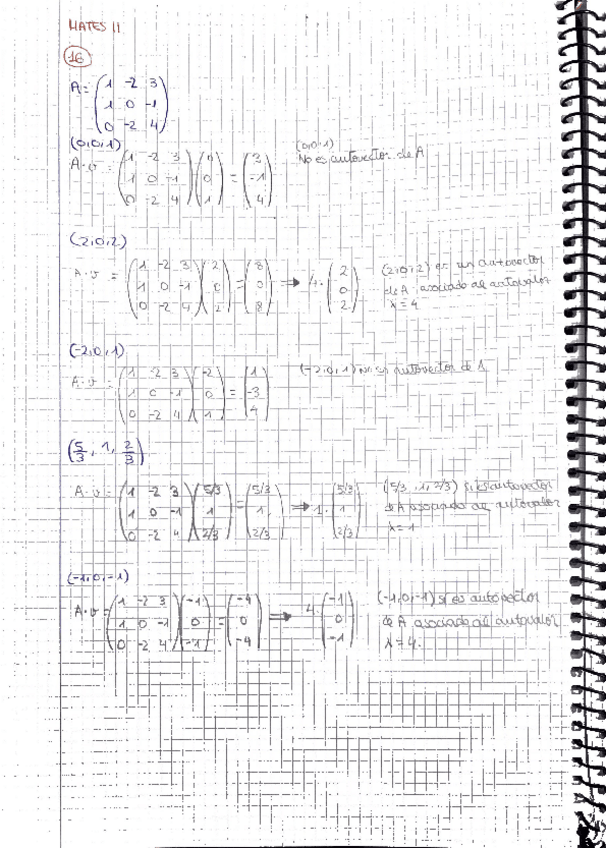 Miniatura del documento BOLETIN-TEMA-2.pdf