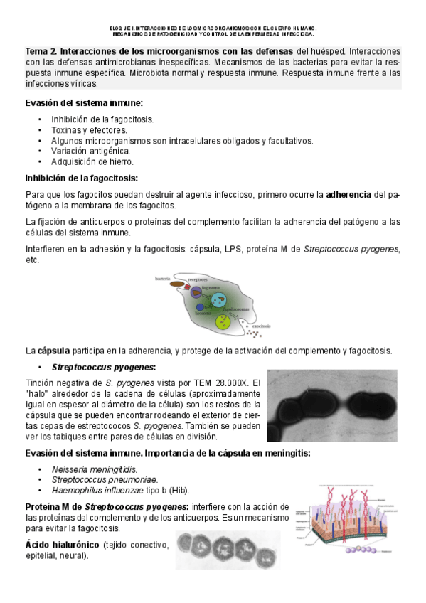Miniatura del documento Tema-2.pdf