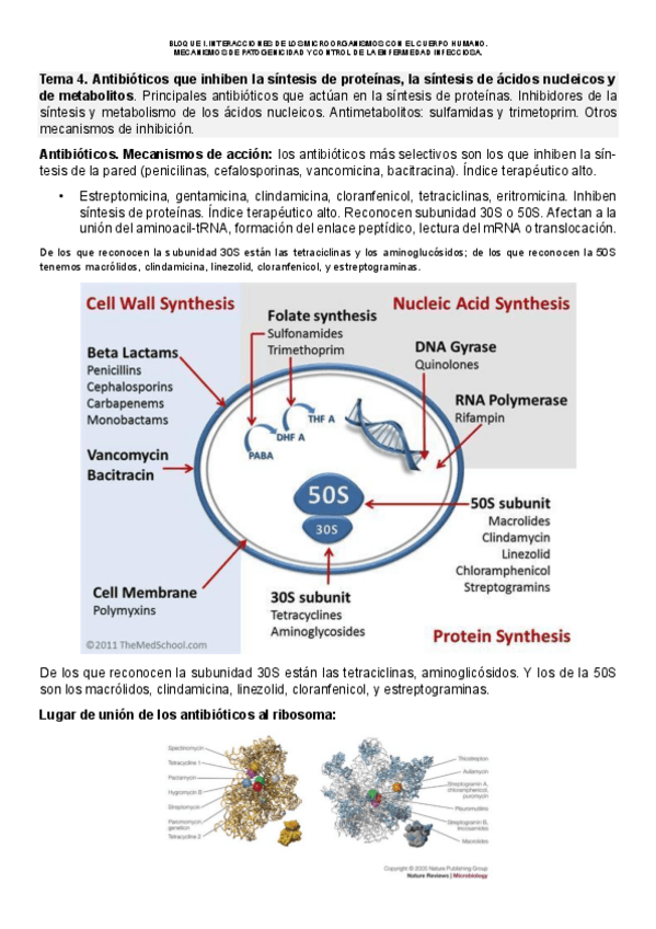 Miniatura del documento tema-4.pdf