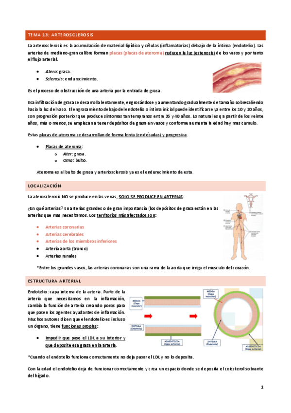 Miniatura del documento Tema-13.pdf
