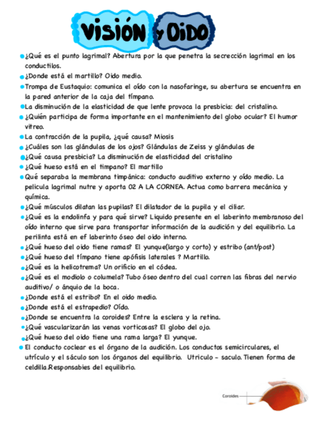 Miniatura del documento EXAMEN VISION Y OIDO.pdf