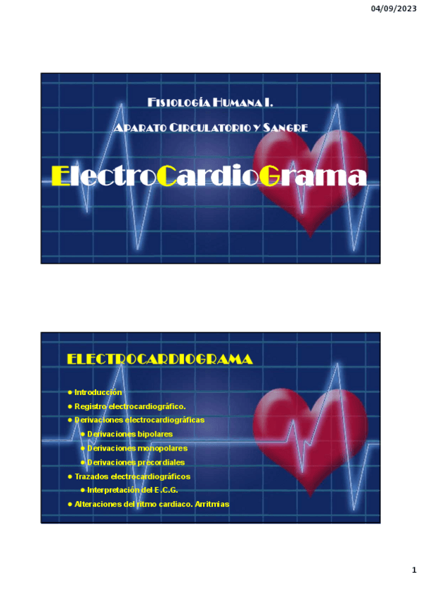 Miniatura del documento Tema-2.-Electrocardiograma.pdf