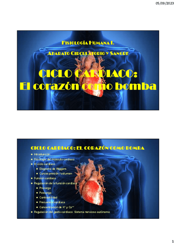 Miniatura del documento Tema-3.-Ciclo-cardiaco.-El-corazAn-como-bomba.pdf