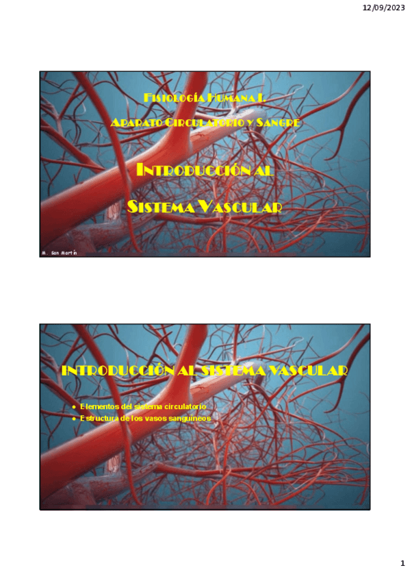 Miniatura del documento Tema-5.-Generalidades-del-aparato-circulatorio.-Arterias-y-arteriolas.pdf