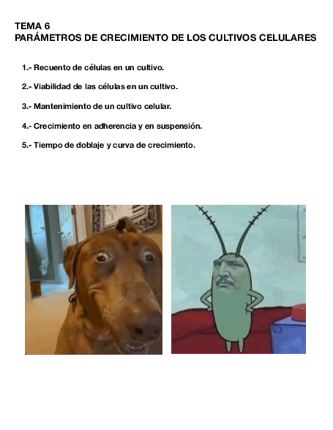 Miniatura del documento Tema-6-CULT.pdf