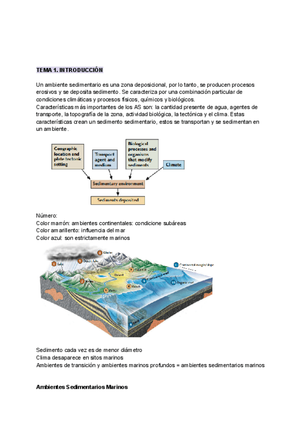Miniatura del documento TEMA-1-INTRODUCCION.pdf