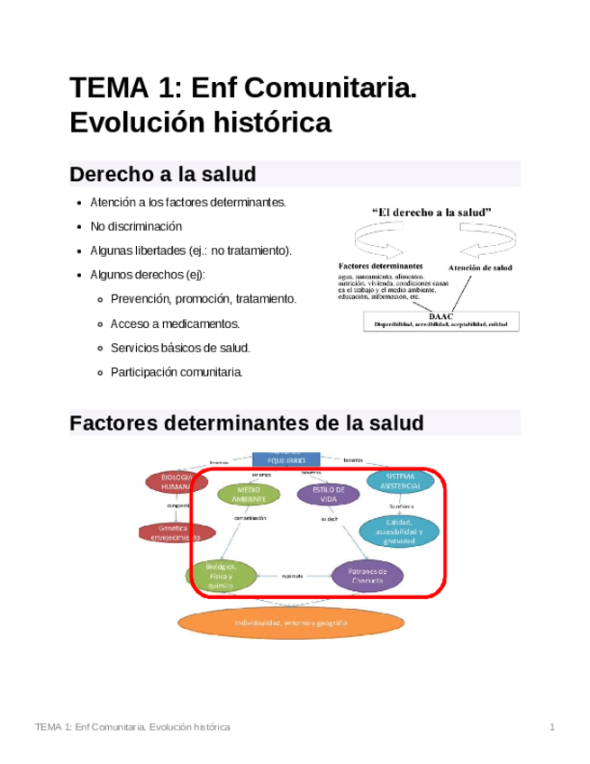 Miniatura del documento TEMA1EnfComunitaria.evolucinhistrica.pdf