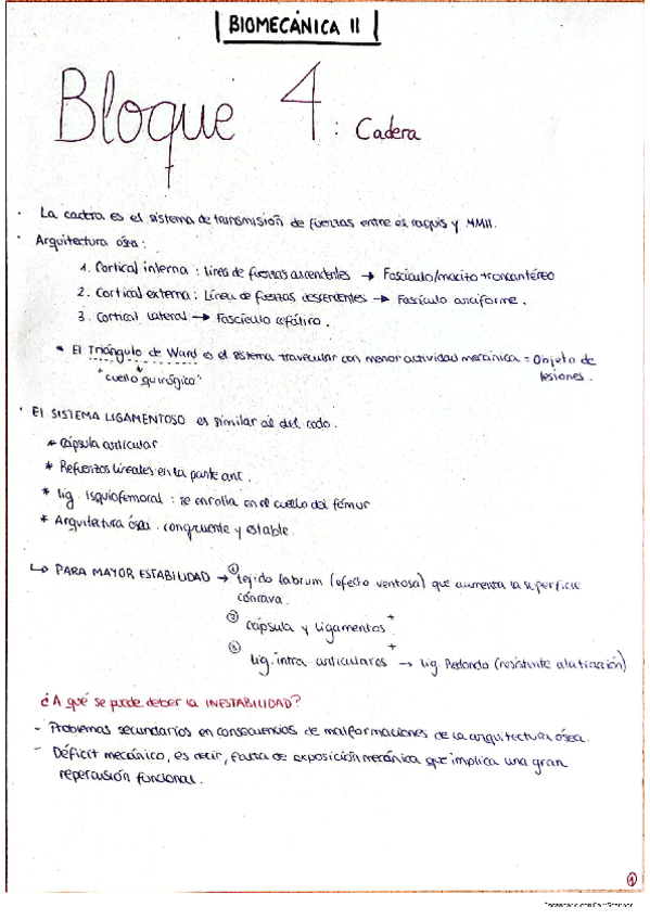 Miniatura del documento Bloque-4-cadera-Sarah-Yague.pdf