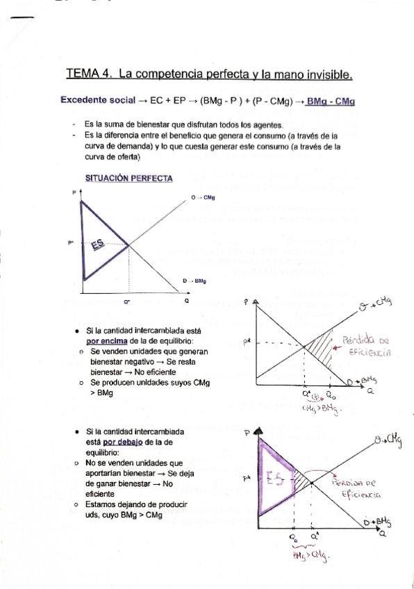 Miniatura del documento Apuntes TEMA-4.pdf