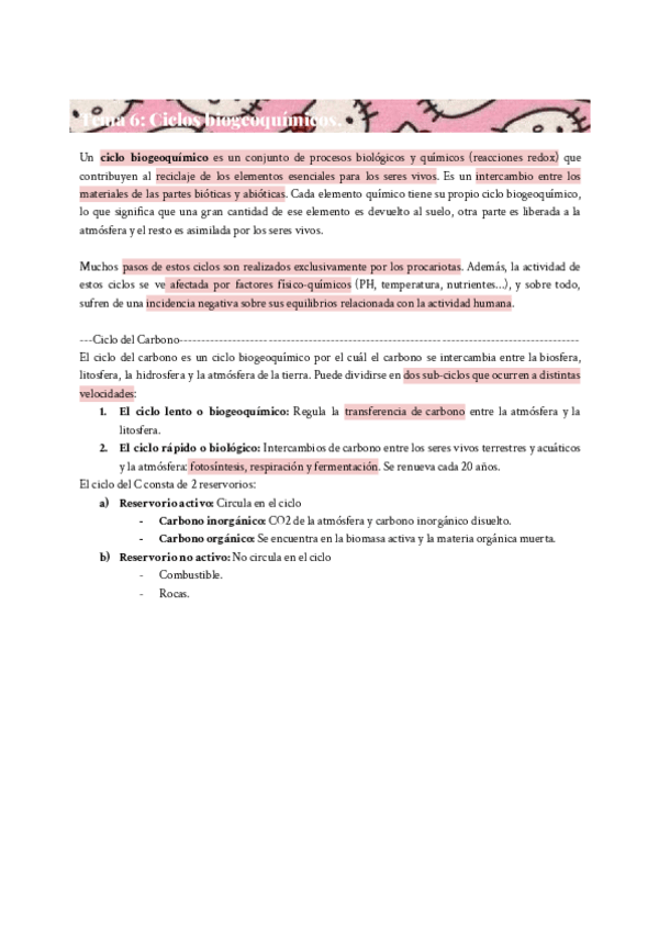 Miniatura del documento MICRO-TEMA-6-RESUMEN.pdf