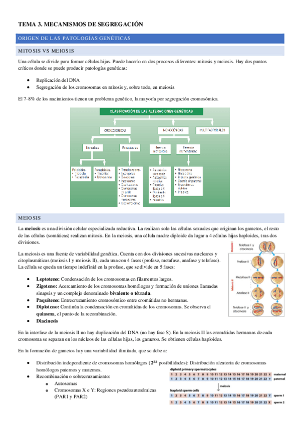 Miniatura del documento TEMA-3.pdf