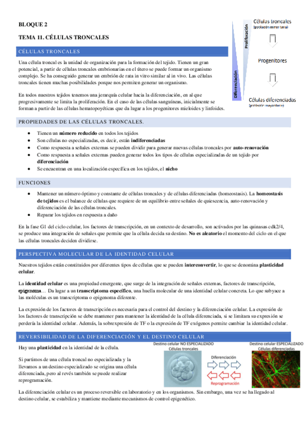 Miniatura del documento TEMA-11.pdf