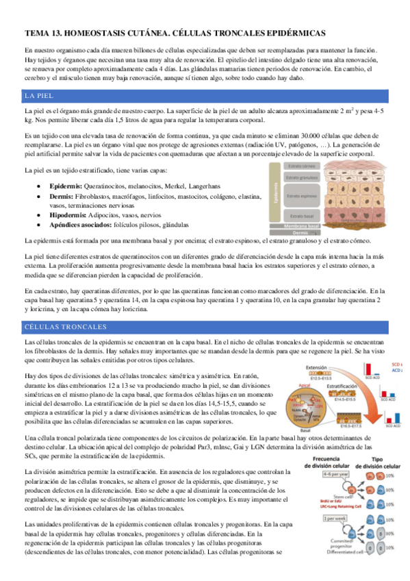 Miniatura del documento TEMA-13.pdf
