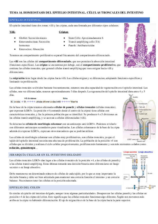 Miniatura del documento TEMA-14.pdf