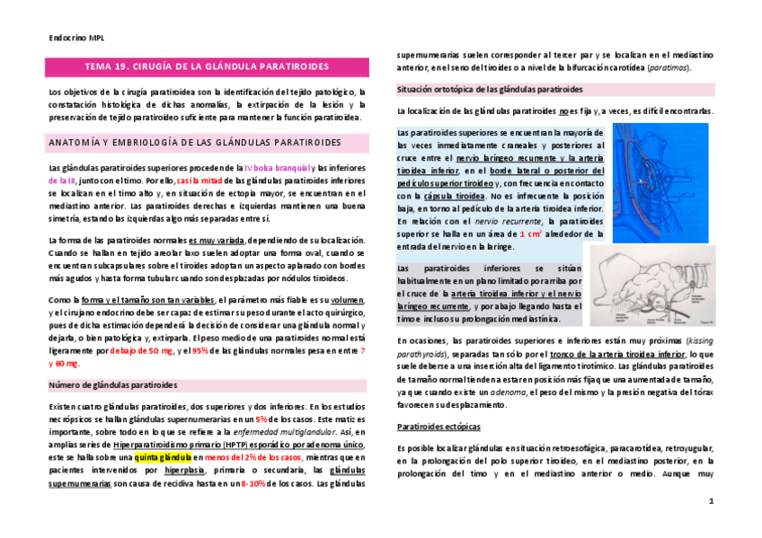 Miniatura del documento Tema-19.pdf