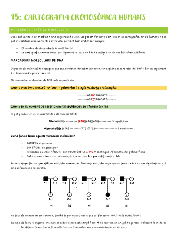 Miniatura del documento Genetica-2n-Parcial-tema-15.pdf