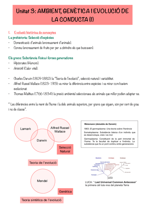 Miniatura del documento Fonaments-De-psicobiologiaTema3.pdf