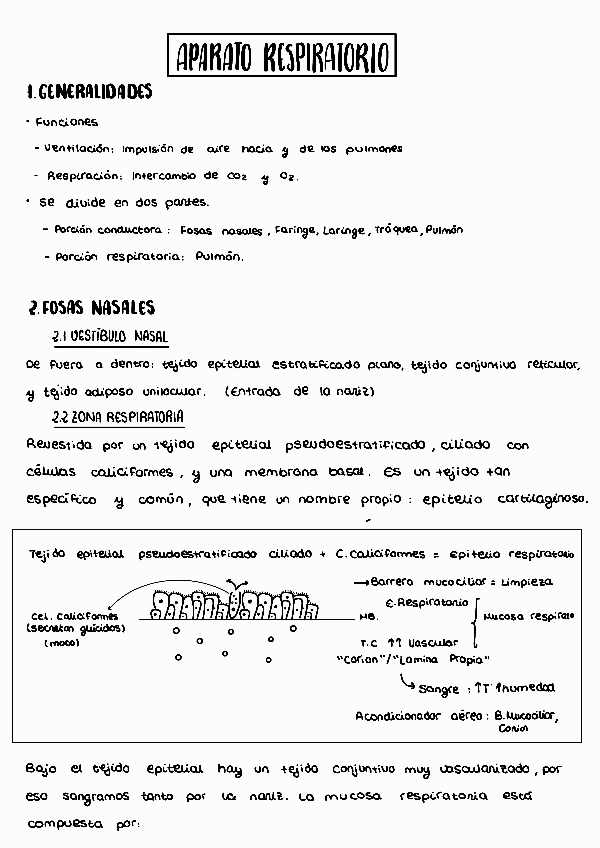 Miniatura del documento APARATO-RESPIRATORIO.pdf