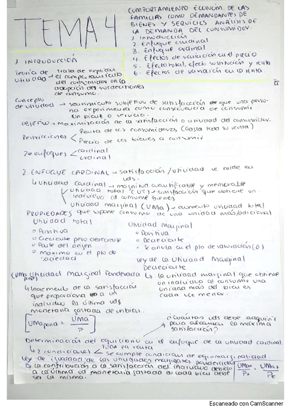 Miniatura del documento Tema-4.-Economia.-1-ADE-Y-FYCO.pdf