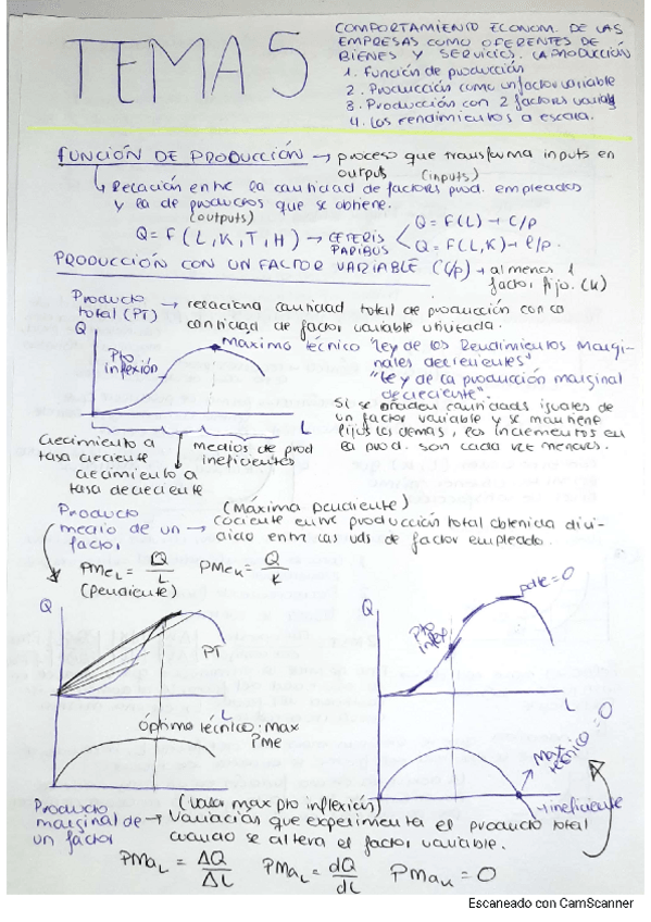 Miniatura del documento Tema-5.-Economia.-1o-ADE-Y-FYCO.pdf