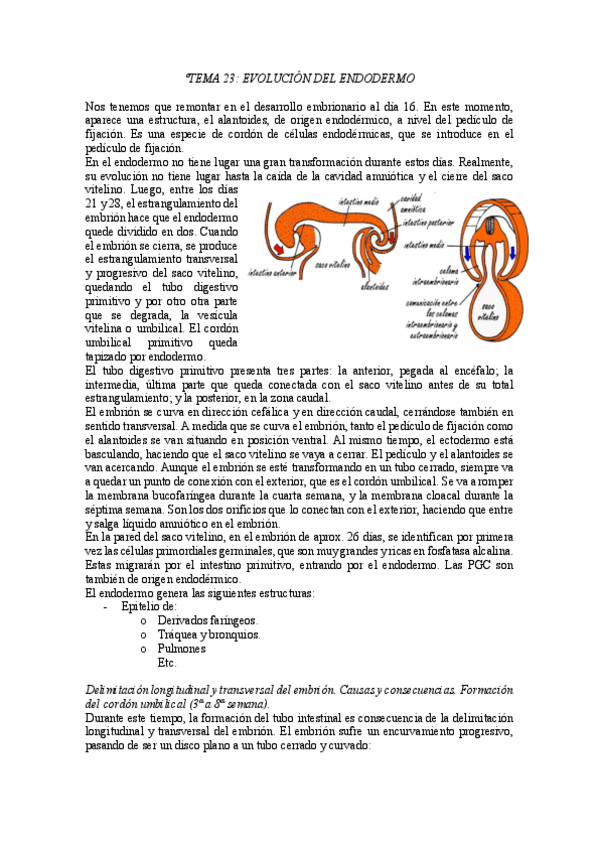 Miniatura del documento TEMA-23.pdf