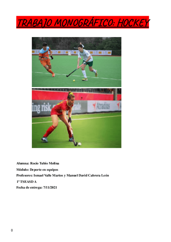 Miniatura del documento Trabajo-monografico-de-hockey.pdf
