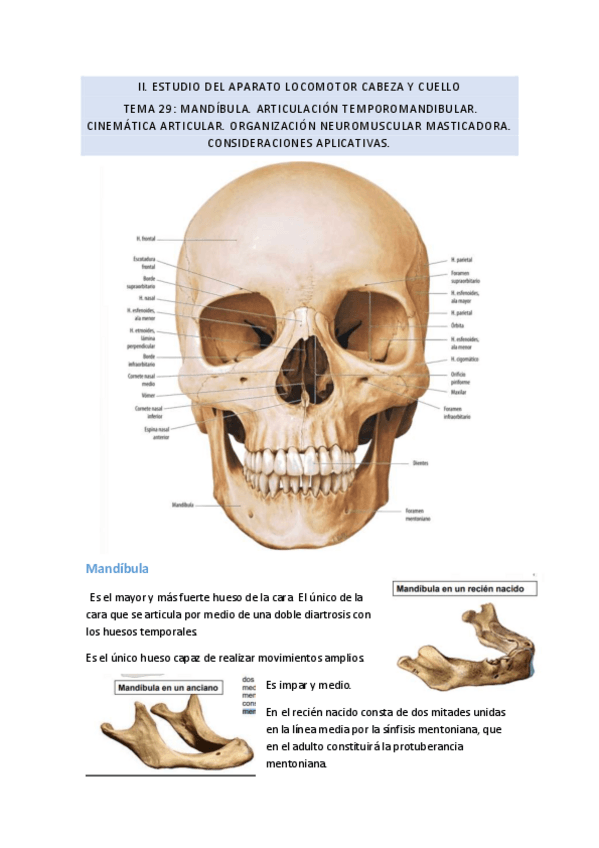 Miniatura del documento TEMA-29.pdf