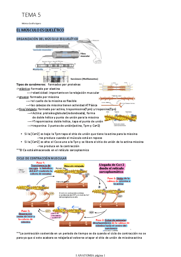 Miniatura del documento TEMA-5.pdf