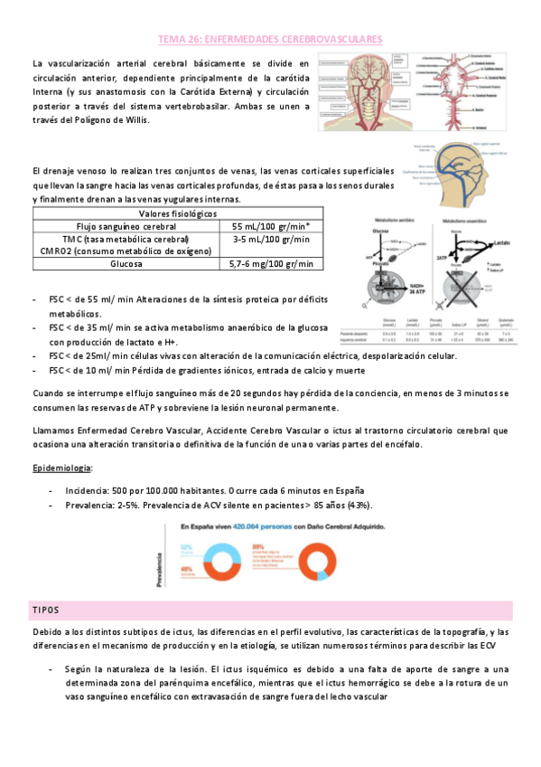 Miniatura del documento Tema-4-nervioso.pdf